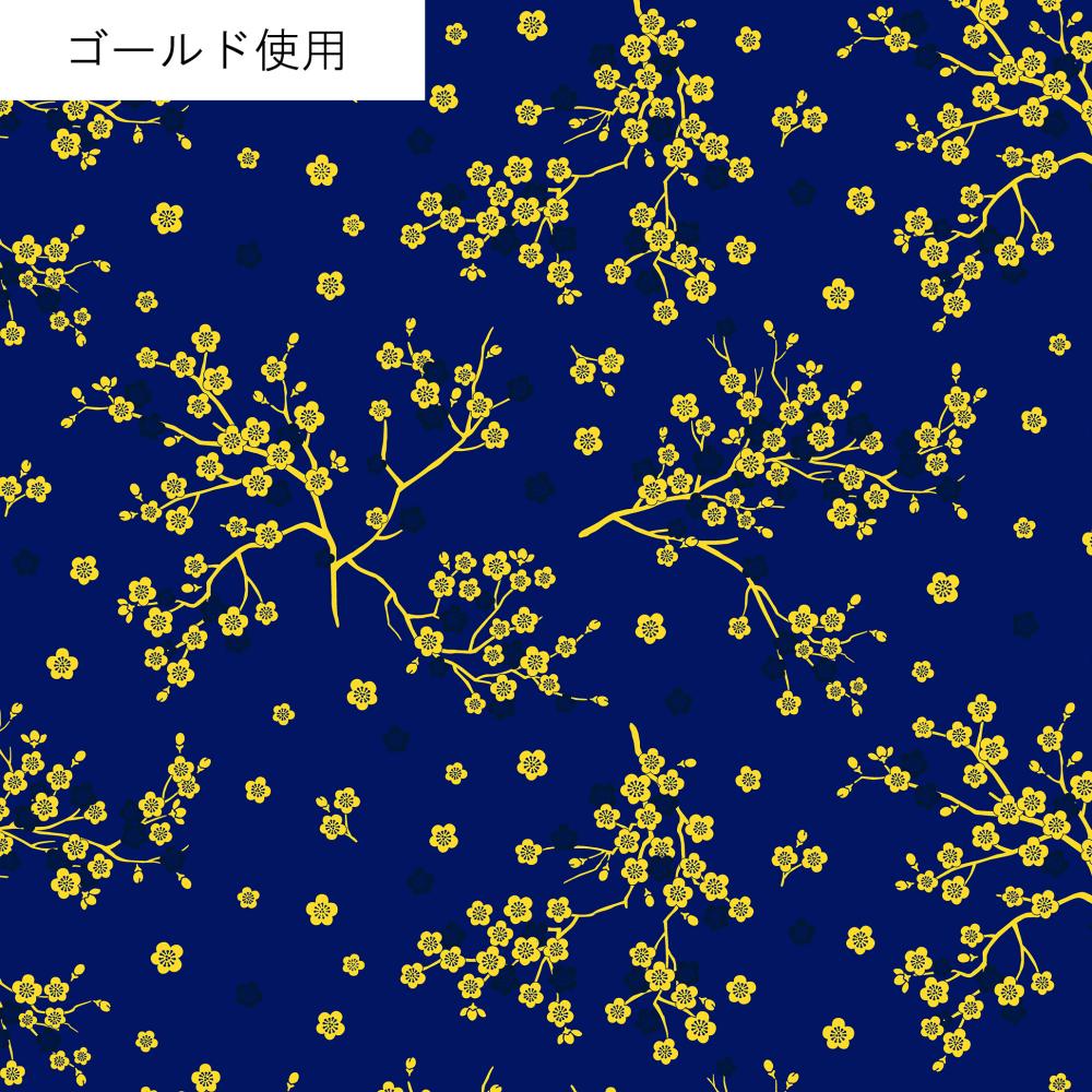 AP55806H