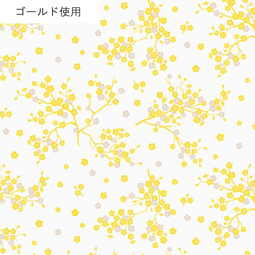 AP55806L