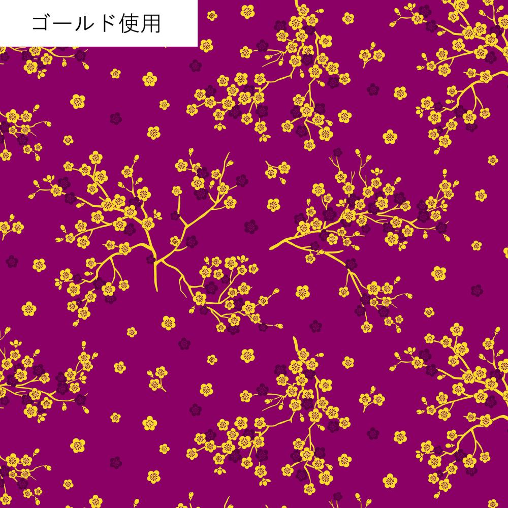 AP55806L