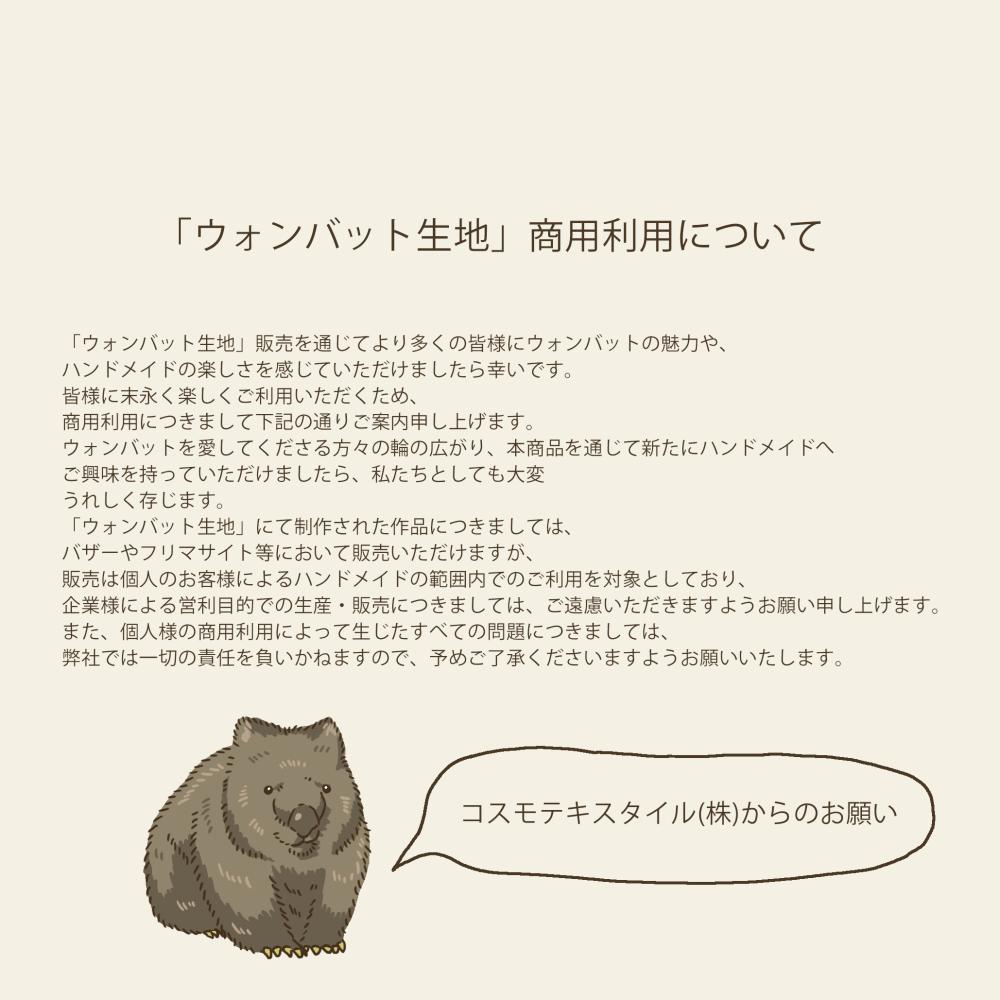 AP65905H