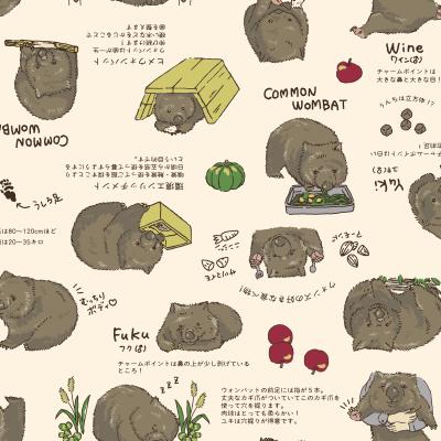 AP62901L ウォンバットPT36